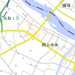 日本地理学会 津波被災マップ