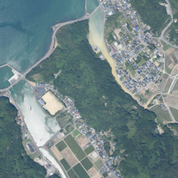 20250815rain_amakusa_0815do_sokuho