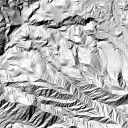 浅草岳でヒメサユリ みちくさんぽ 人生道草散歩