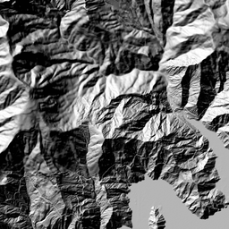 浅草岳でヒメサユリ みちくさんぽ 人生道草散歩