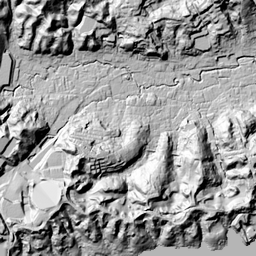トトロの森第４号地 山の最新情報 登山情報 ヤマレコ