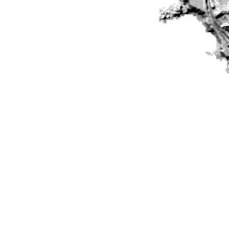 廃校を活用した自然や食の体験施設 ユクサおおすみ海の学校 から広がる地域づくり ココロココ 地方と都市をつなぐ つたえる