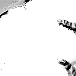 留学から戻ったら実家が紀北町に 両親が選んだまちで 農業の伸びしろに挑む ココロココ 地方と都市をつなぐ つたえる