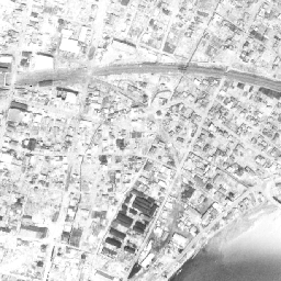 データ解説 広島大学原爆放射線医科学研究所