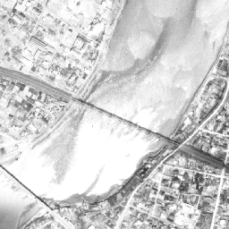 データ解説 広島大学原爆放射線医科学研究所