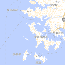 鹿児島県 徳之島町 地域医療情報システム 日本医師会