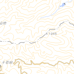長野県明治初期の村絵図・地図アーカイブ | 長野県立歴史館