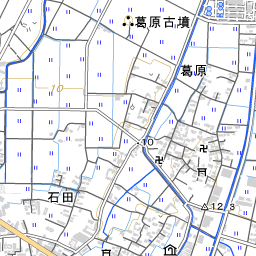 瀬口皮膚科 地域医療情報システム 日本医師会