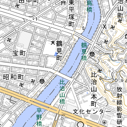 すみい内科クリニック 地域医療情報システム 日本医師会