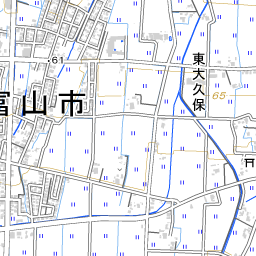 大沢野中央診療所 地域医療情報システム 日本医師会