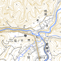 大戸診療所 地域医療情報システム 日本医師会