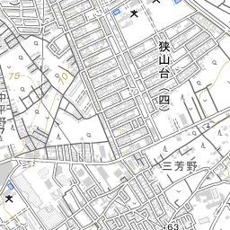 昭和4年発行 入間川町全図 三千分の一/郷土資料 アンティーク