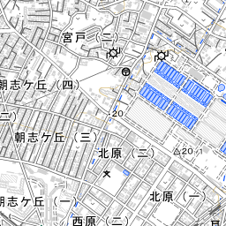 志木駅前皮膚科 地域医療情報システム 日本医師会