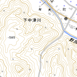 昭和村国民健康保険診療所 地域医療情報システム 日本医師会