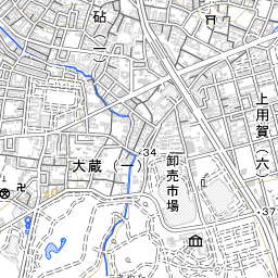 祖師谷皮ふ形成クリニック 地域医療情報システム 日本医師会