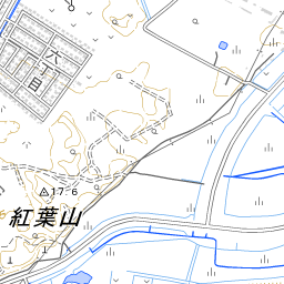 医療法人社団 花川皮膚科クリニック 地域医療情報システム 日本医師会