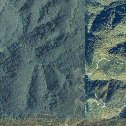 福井クマ情報（Fukui Bear Information）