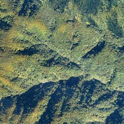 福井クマ情報（Fukui Bear Information）