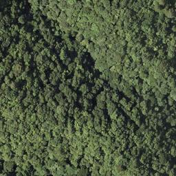 根尾黒津 岐阜県本巣市 の地図 場所 地図ナビ