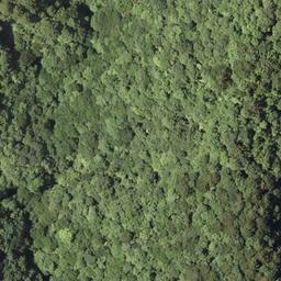 根尾黒津 岐阜県本巣市 の地図 場所 地図ナビ