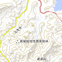 奇岩 トカゲ岩 とかげいわ