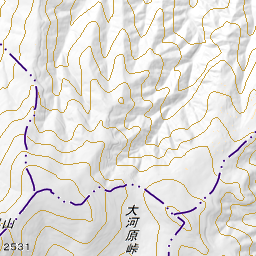 ７月 北横岳 蓼科山縦走 右回り 蓼科山 21年7月19日 月 21年7月日 火 ヤマケイオンライン 山と溪谷社