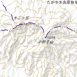 小野子山 おのこやま 標高1 208ｍ 上信越 上毛三山 Yamakei Online 山と溪谷社