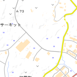 鈴鹿シティマラソン10km参戦 モリシさんの鈴鹿市の活動データ Yamap ヤマップ