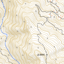 石鎚山 国土地理院地図 ヤマレコ