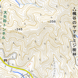 美濃 天王山 展望がすばらしい 天王山 2019年5月22日 水 ヤマケイオンライン 山と溪谷社