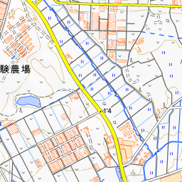 渥美半島 国土地理院地図 ヤマレコ