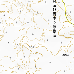 青木ヶ原樹海 国土地理院地図 ヤマレコ