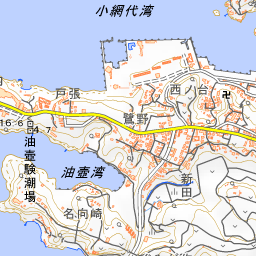 3fハイキング 小網代の森 城ケ島 小網代の森 年8月19日 水 ヤマケイオンライン 山と溪谷社