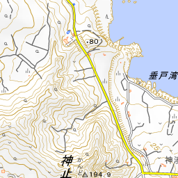 八丈島 国土地理院地図 ヤマレコ