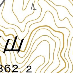 100以上 イチョウ イラスト 無料 アイコンの検索とダウンロード