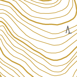 99以上 イチョウ イラスト 無料 ひよこ 可愛い イラスト