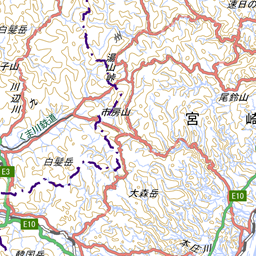 災害対応支援地図 提供資料より 研 防災科学技術研究所が作成